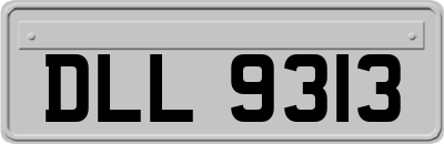 DLL9313