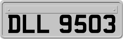 DLL9503