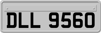 DLL9560