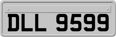 DLL9599