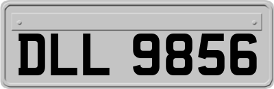 DLL9856