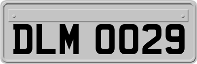 DLM0029