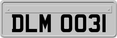 DLM0031