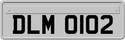 DLM0102