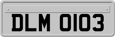 DLM0103