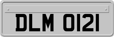 DLM0121