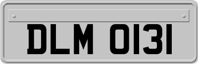 DLM0131