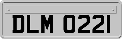 DLM0221