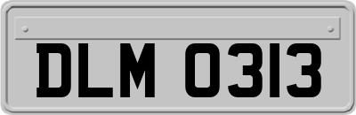 DLM0313