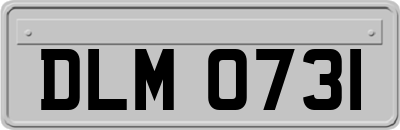 DLM0731