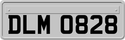 DLM0828