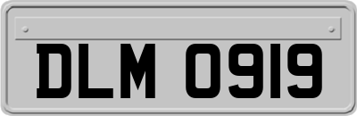 DLM0919