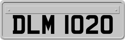 DLM1020