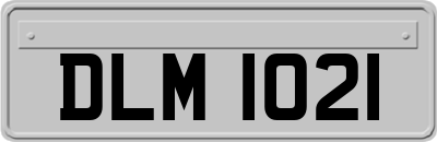 DLM1021