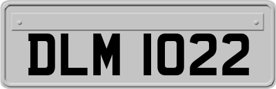 DLM1022
