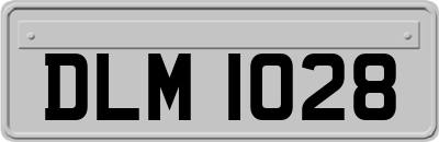 DLM1028