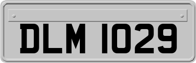 DLM1029