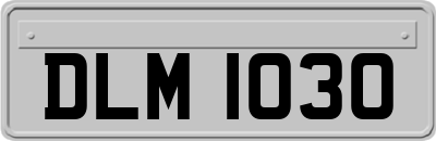 DLM1030