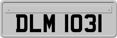 DLM1031