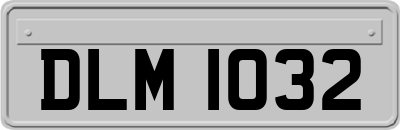 DLM1032