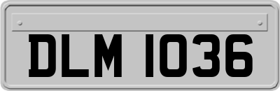 DLM1036