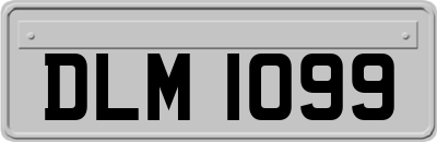 DLM1099