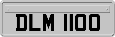 DLM1100