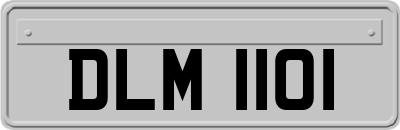 DLM1101