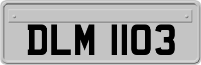 DLM1103