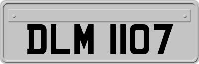 DLM1107