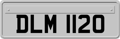 DLM1120