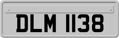 DLM1138