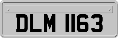 DLM1163