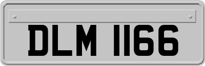 DLM1166