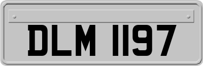 DLM1197