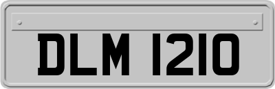 DLM1210