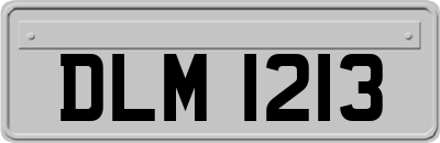 DLM1213