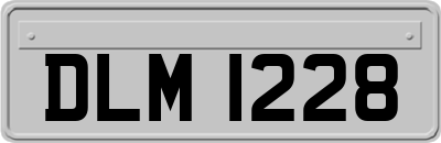 DLM1228