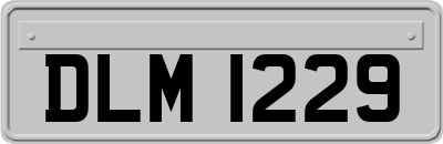 DLM1229