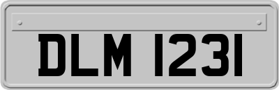 DLM1231