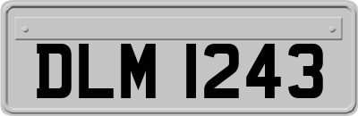 DLM1243