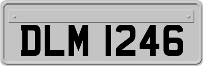 DLM1246