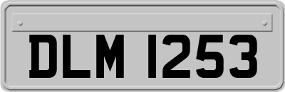 DLM1253