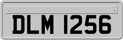 DLM1256