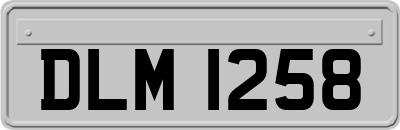 DLM1258