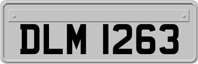 DLM1263