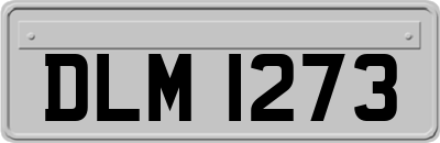 DLM1273