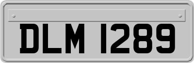 DLM1289