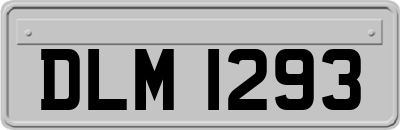 DLM1293