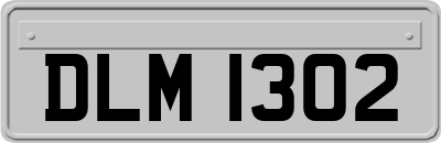 DLM1302